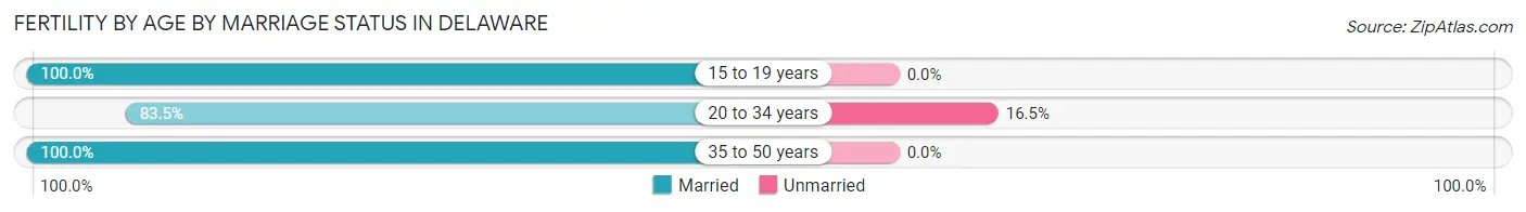 Female Fertility by Age by Marriage Status in Delaware