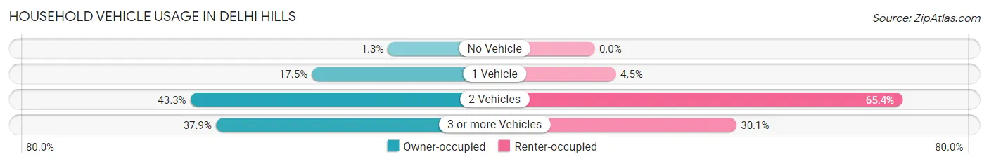 Household Vehicle Usage in Delhi Hills