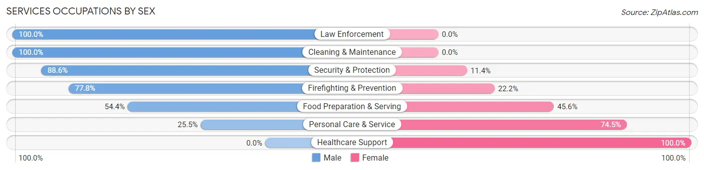 Services Occupations by Sex in Dry Run