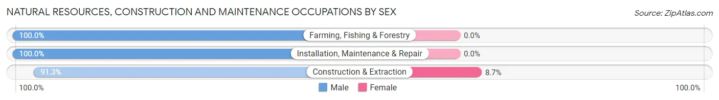 Natural Resources, Construction and Maintenance Occupations by Sex in East Sparta