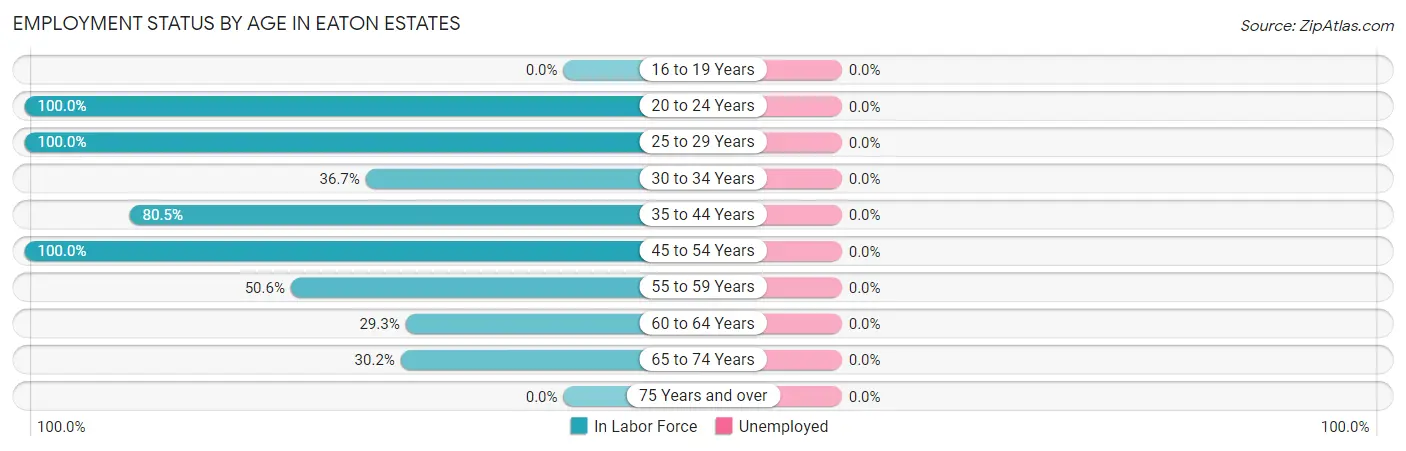 Employment Status by Age in Eaton Estates