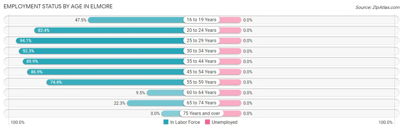 Employment Status by Age in Elmore