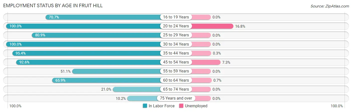 Employment Status by Age in Fruit Hill