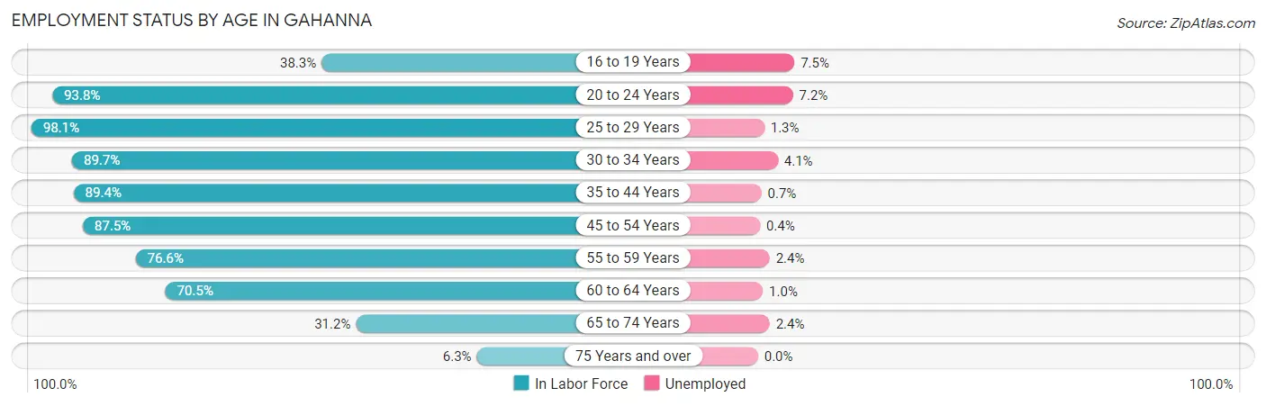 Employment Status by Age in Gahanna