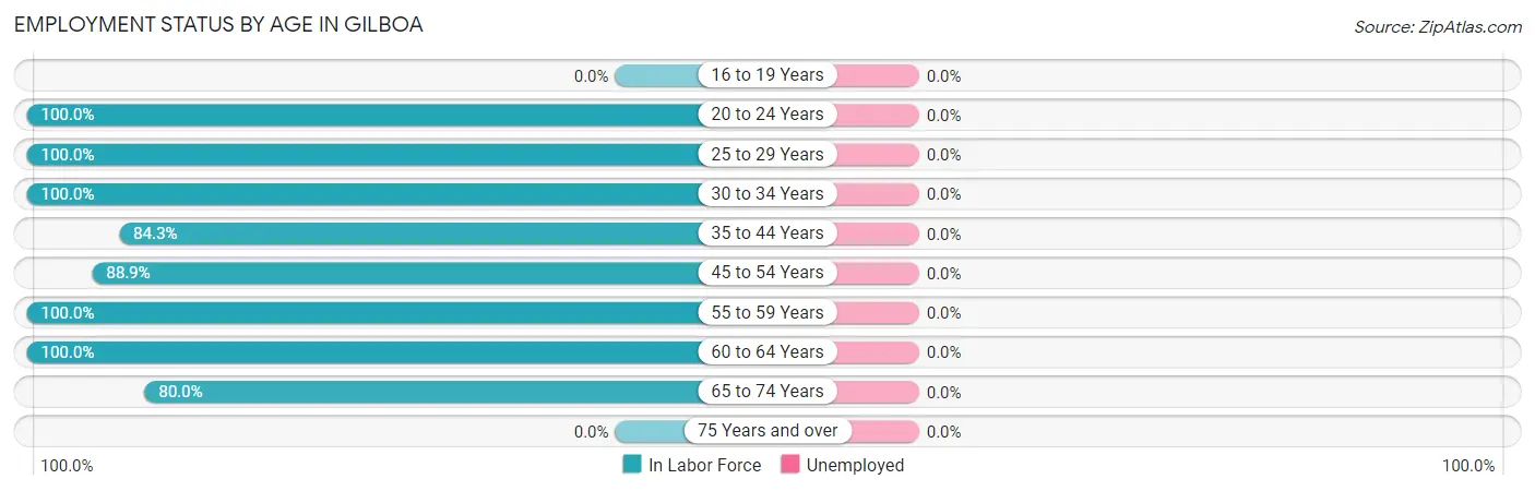 Employment Status by Age in Gilboa