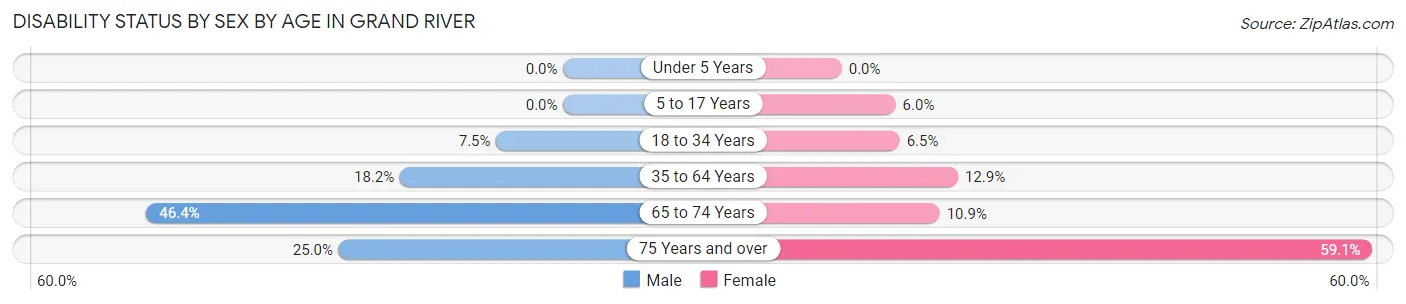 Disability Status by Sex by Age in Grand River