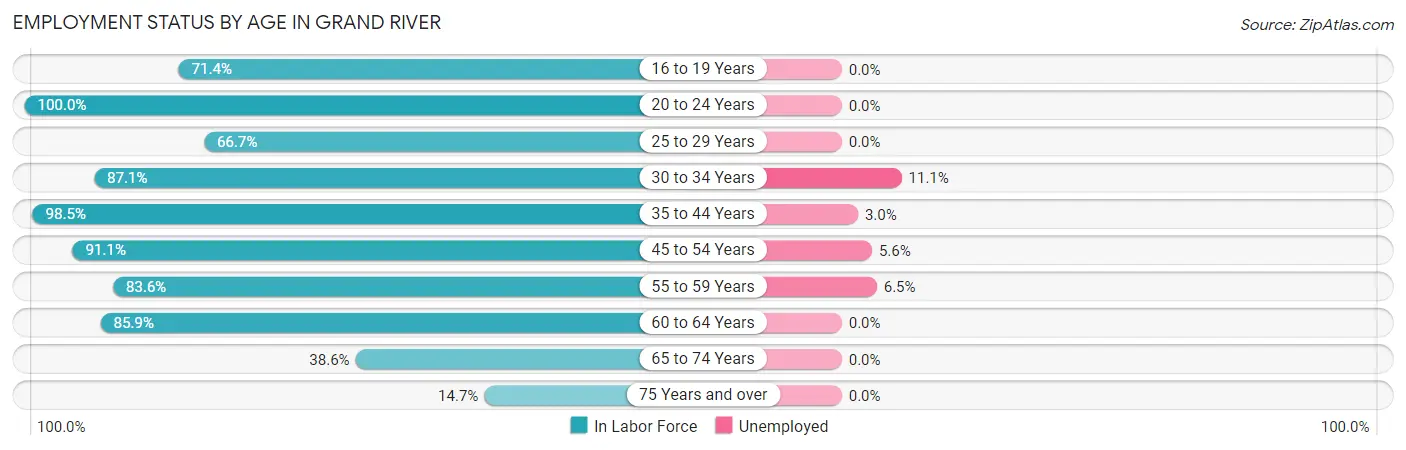 Employment Status by Age in Grand River