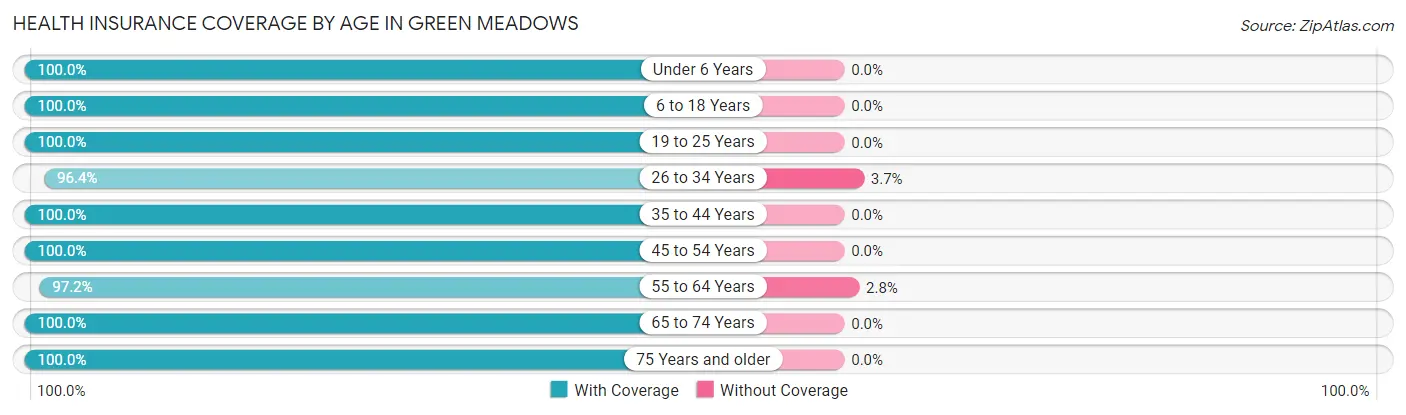 Health Insurance Coverage by Age in Green Meadows