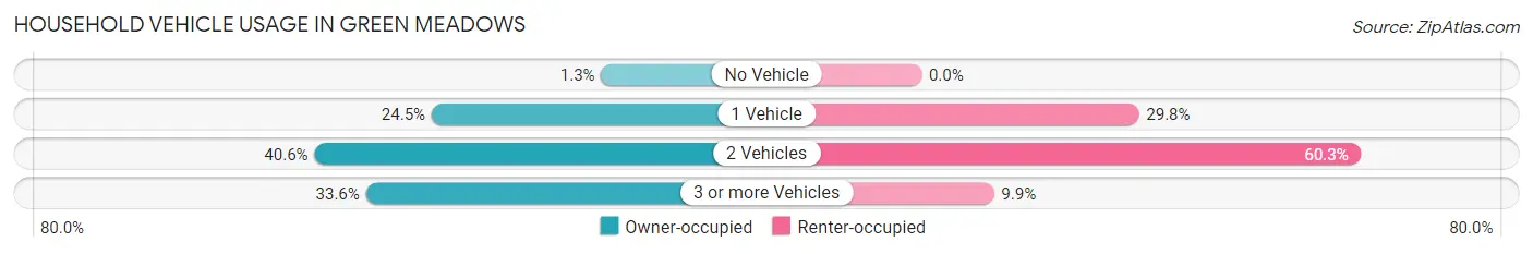 Household Vehicle Usage in Green Meadows