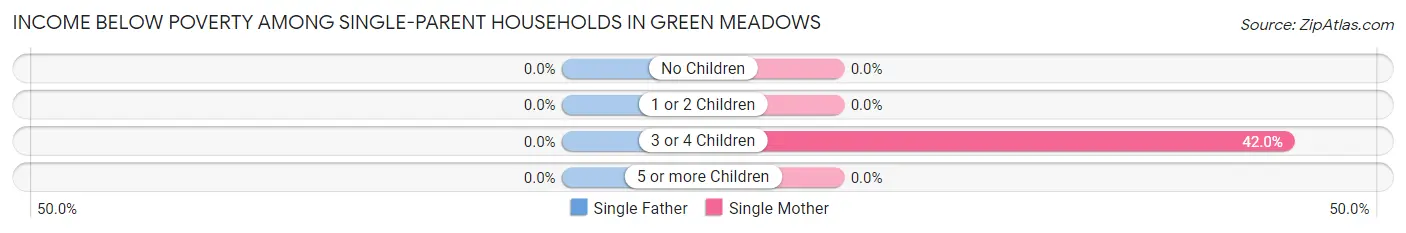 Income Below Poverty Among Single-Parent Households in Green Meadows