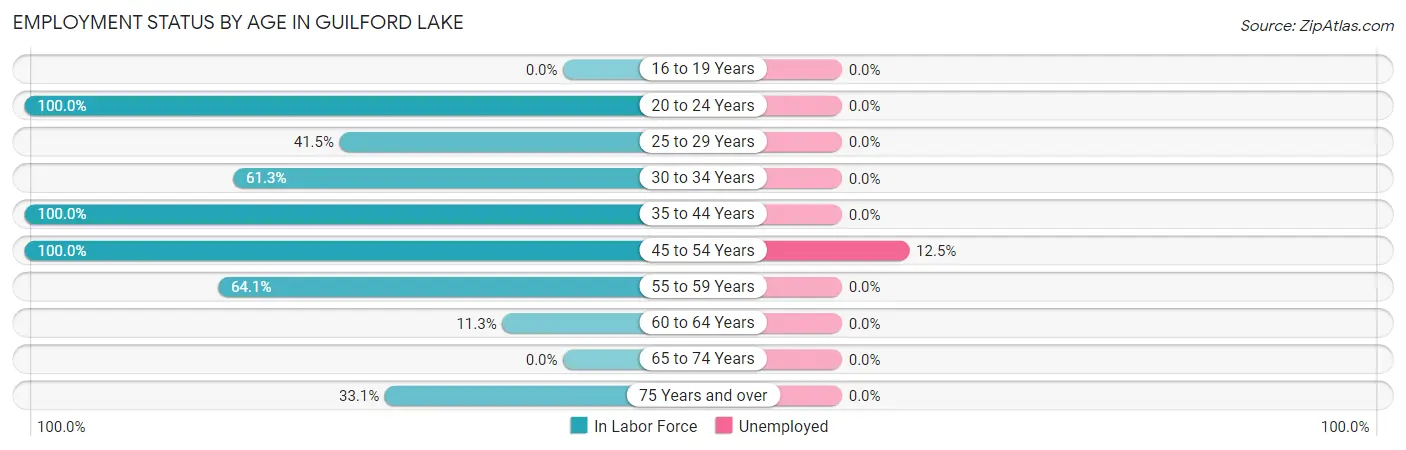 Employment Status by Age in Guilford Lake