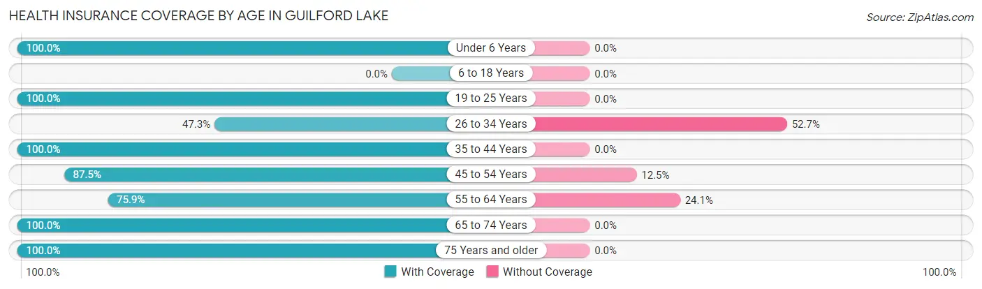 Health Insurance Coverage by Age in Guilford Lake