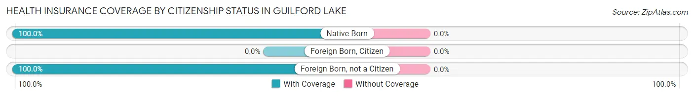 Health Insurance Coverage by Citizenship Status in Guilford Lake