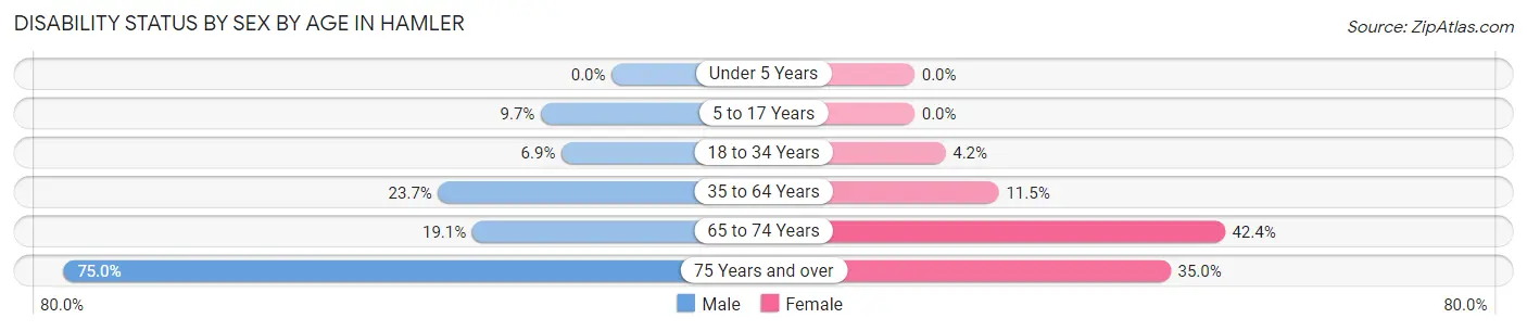 Disability Status by Sex by Age in Hamler