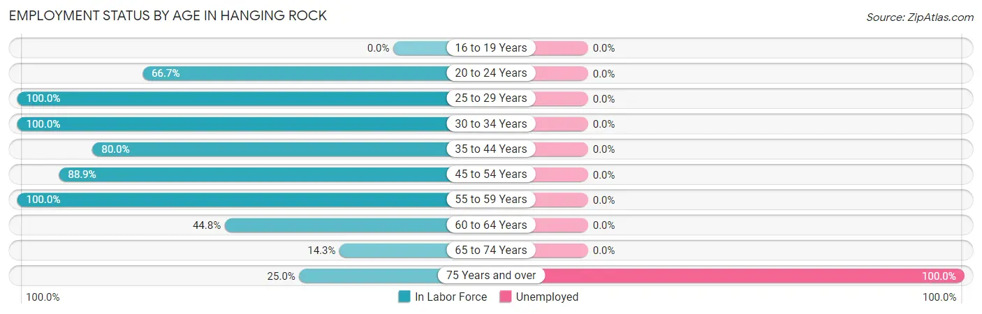 Employment Status by Age in Hanging Rock