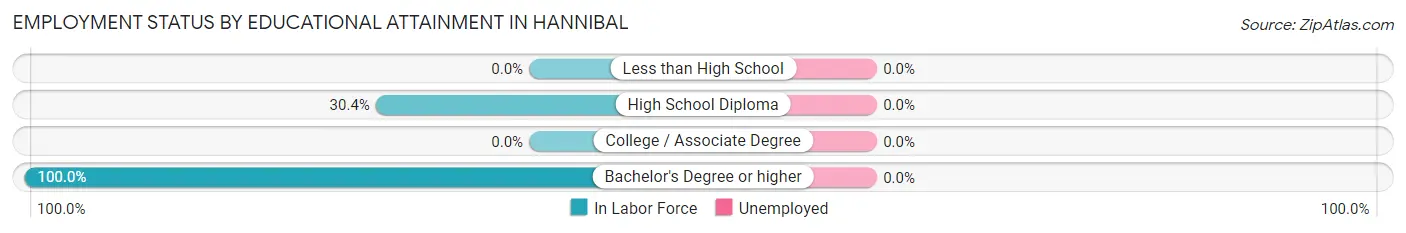 Employment Status by Educational Attainment in Hannibal