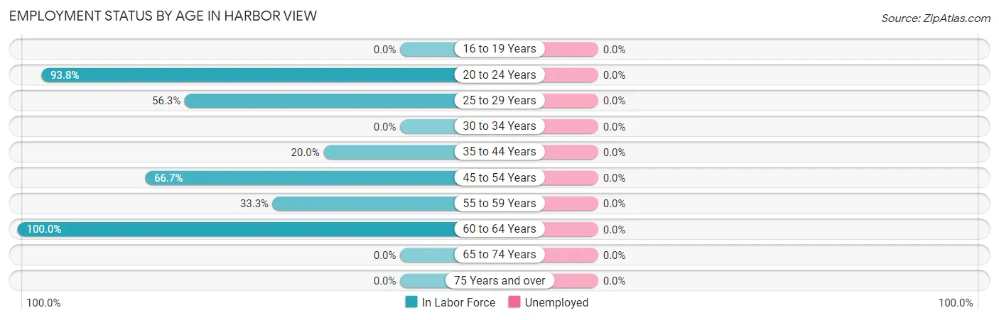 Employment Status by Age in Harbor View