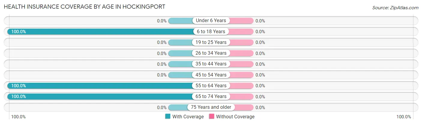Health Insurance Coverage by Age in Hockingport