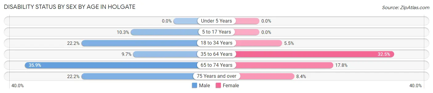 Disability Status by Sex by Age in Holgate