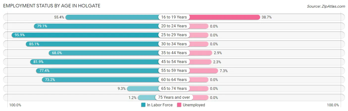 Employment Status by Age in Holgate