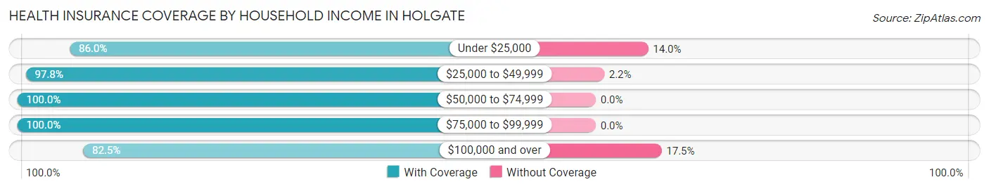 Health Insurance Coverage by Household Income in Holgate