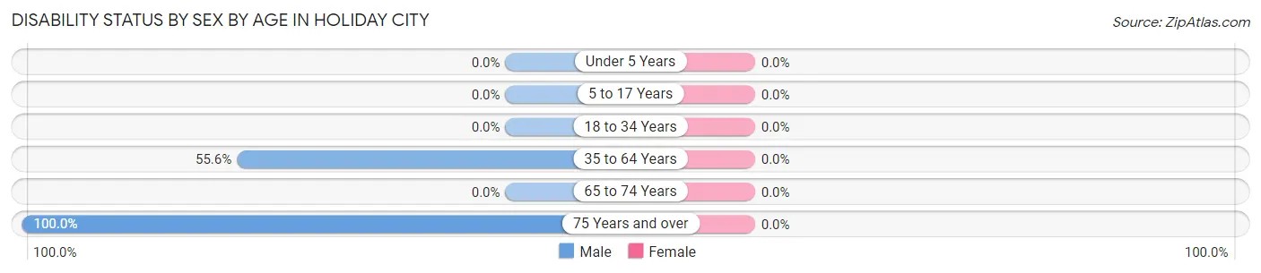 Disability Status by Sex by Age in Holiday City