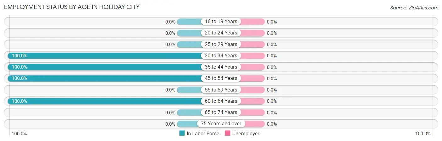 Employment Status by Age in Holiday City