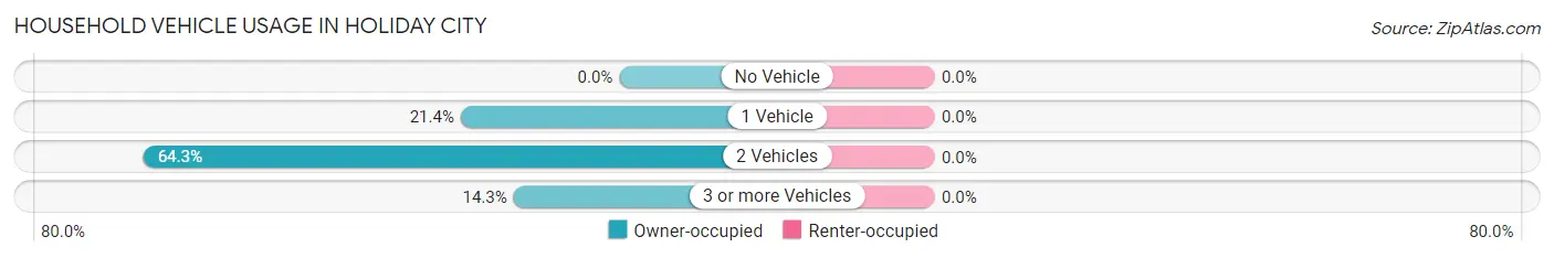 Household Vehicle Usage in Holiday City