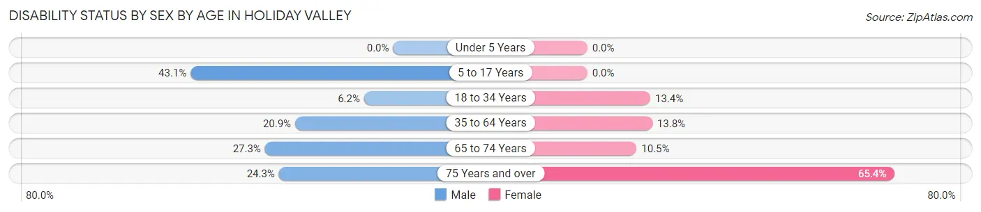 Disability Status by Sex by Age in Holiday Valley
