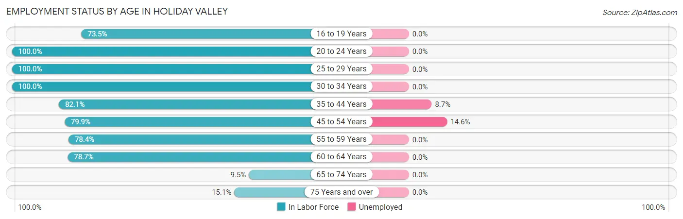 Employment Status by Age in Holiday Valley