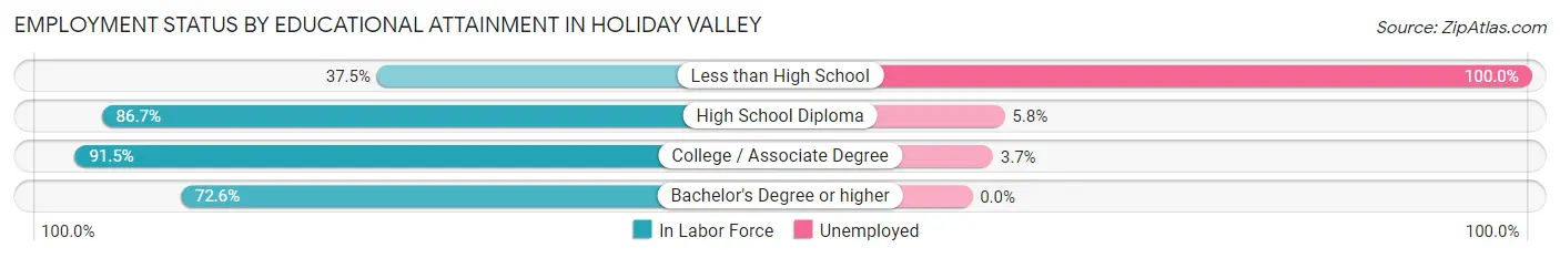 Employment Status by Educational Attainment in Holiday Valley
