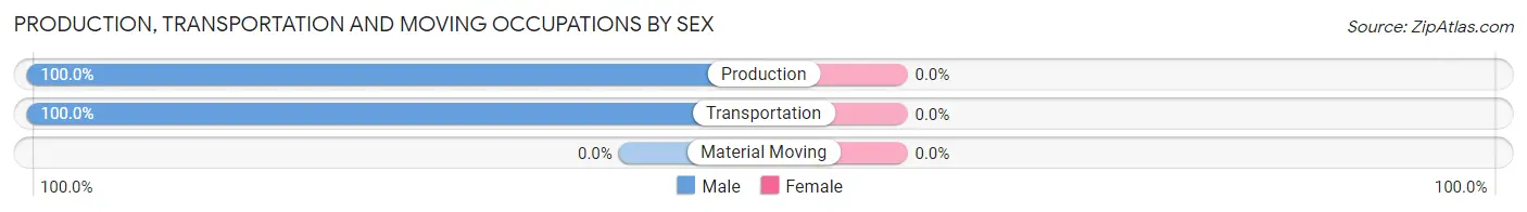 Production, Transportation and Moving Occupations by Sex in Holiday Valley