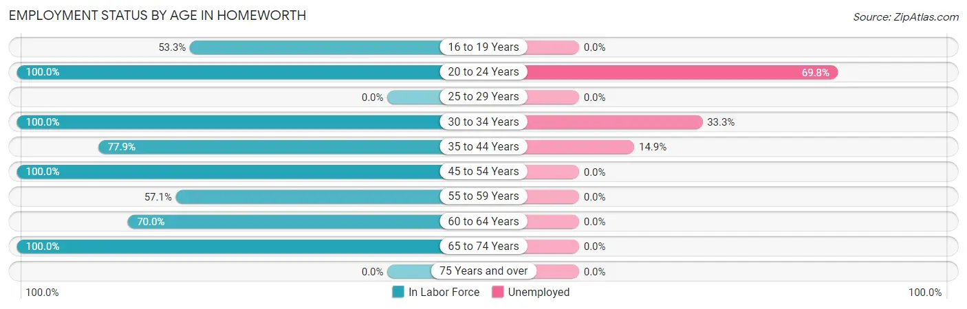 Employment Status by Age in Homeworth