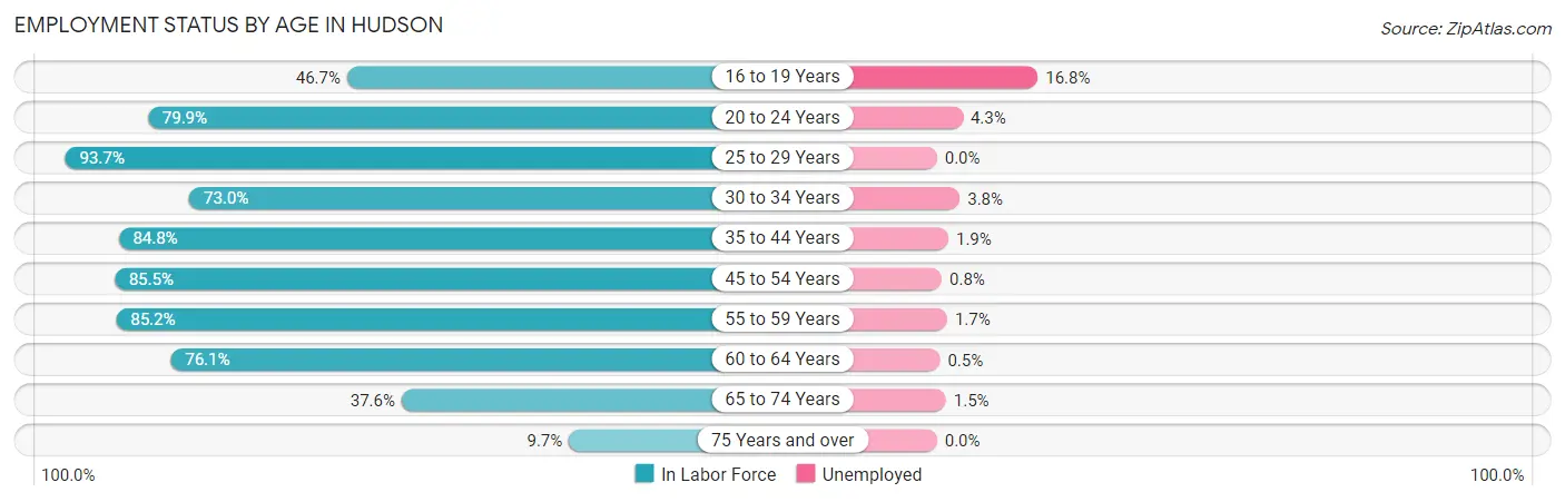 Employment Status by Age in Hudson