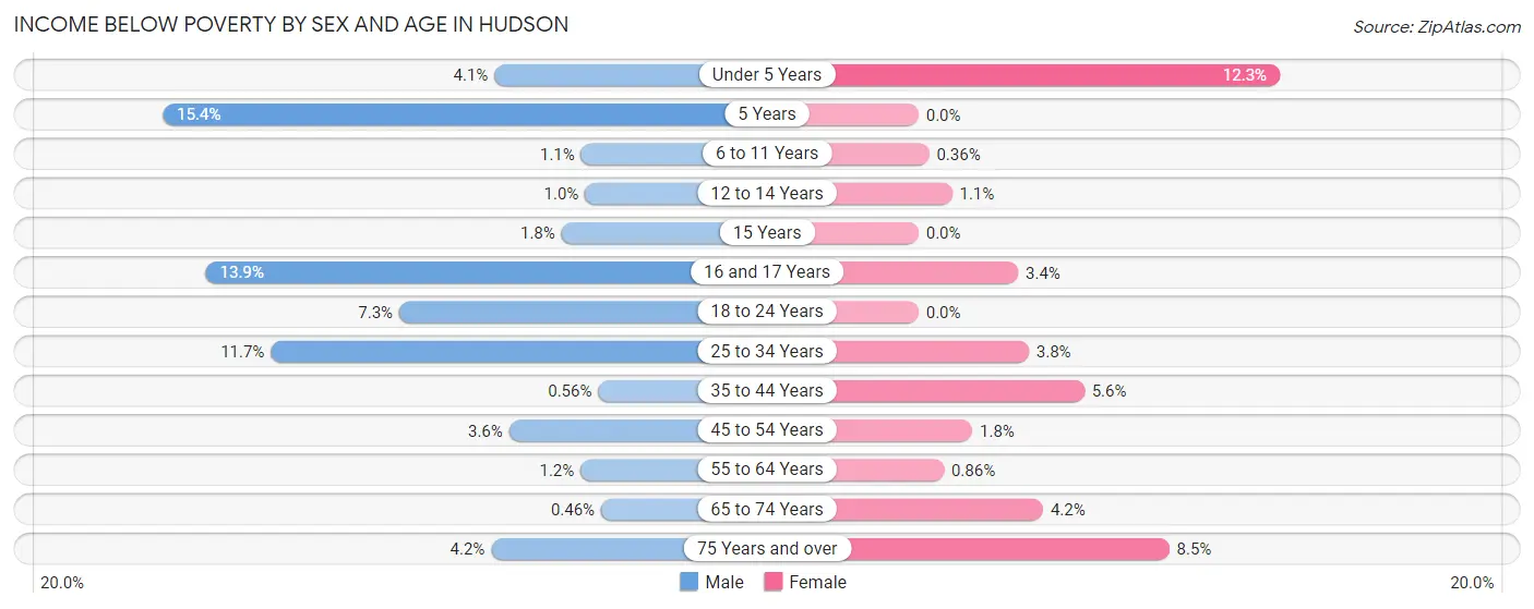 Income Below Poverty by Sex and Age in Hudson