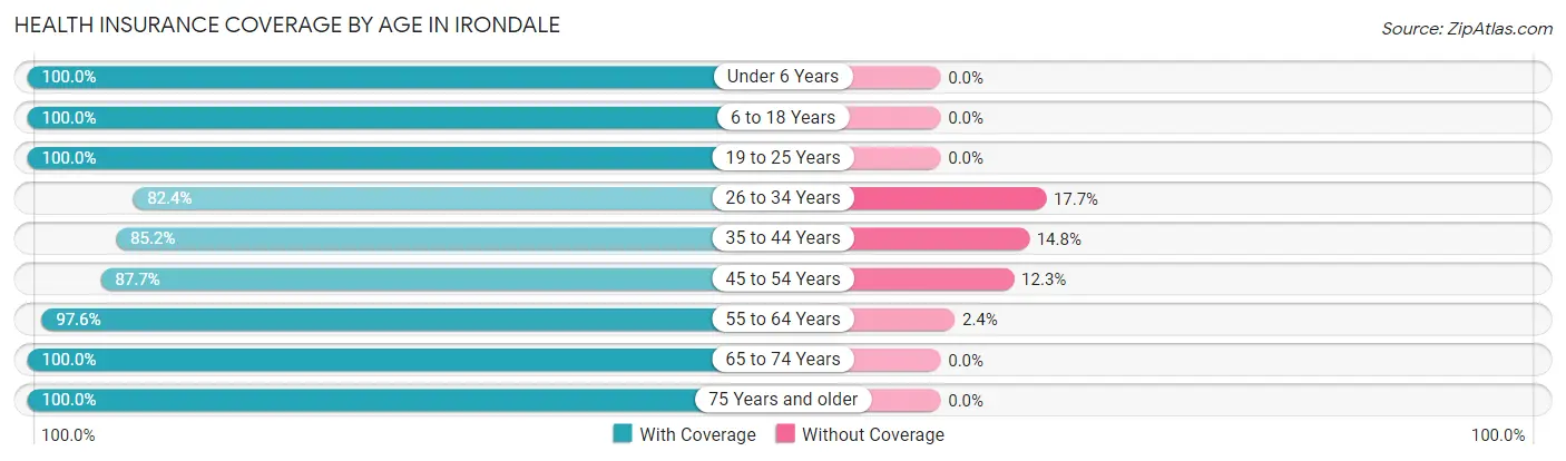 Health Insurance Coverage by Age in Irondale