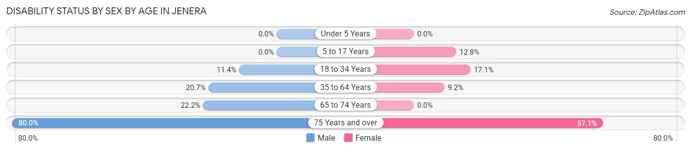 Disability Status by Sex by Age in Jenera
