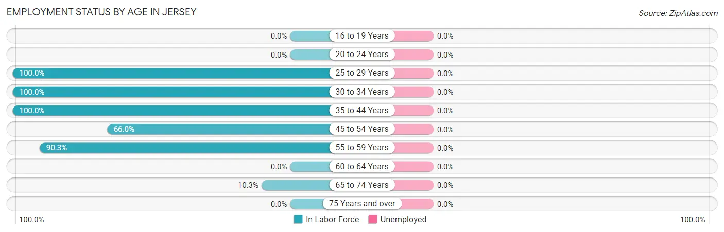 Employment Status by Age in Jersey