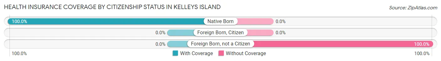 Health Insurance Coverage by Citizenship Status in Kelleys Island