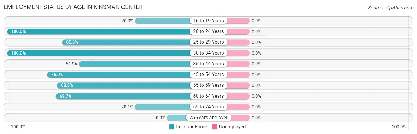 Employment Status by Age in Kinsman Center