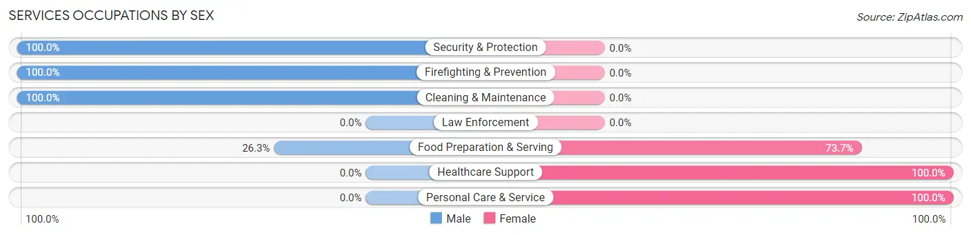 Services Occupations by Sex in Laura