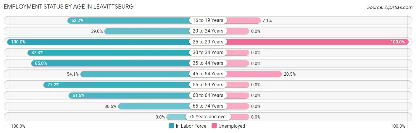 Employment Status by Age in Leavittsburg