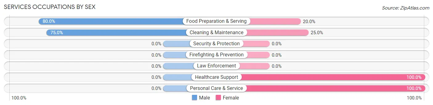 Services Occupations by Sex in Lindsey