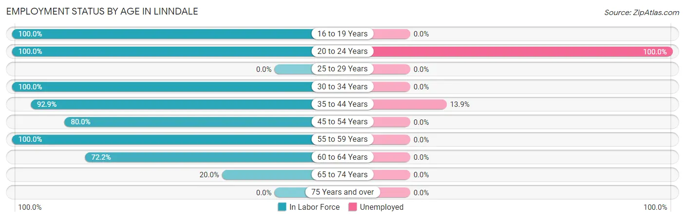 Employment Status by Age in Linndale