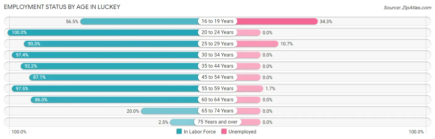 Employment Status by Age in Luckey