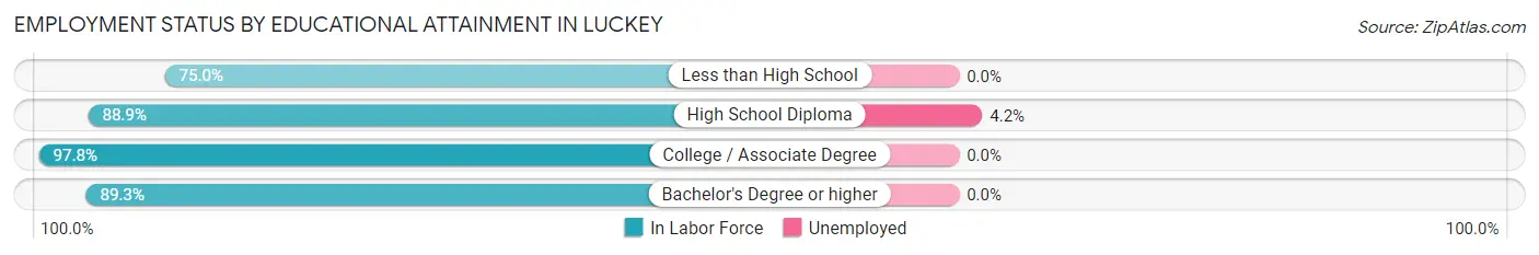 Employment Status by Educational Attainment in Luckey