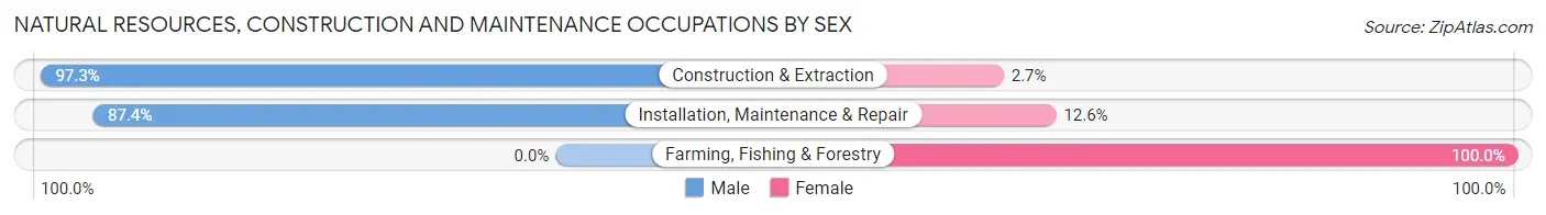 Natural Resources, Construction and Maintenance Occupations by Sex in Mack