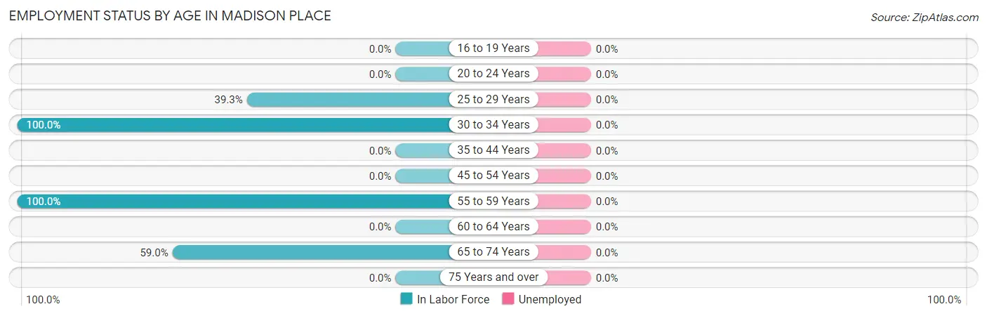 Employment Status by Age in Madison Place
