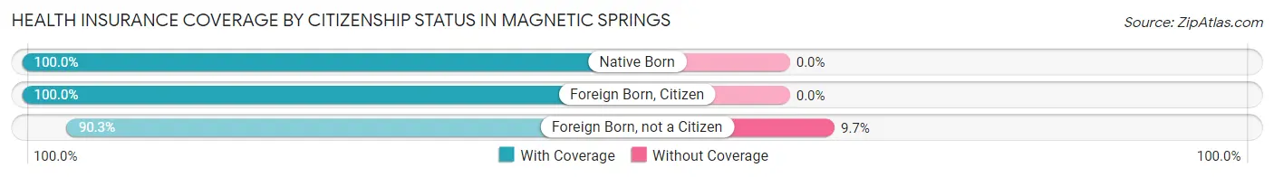 Health Insurance Coverage by Citizenship Status in Magnetic Springs