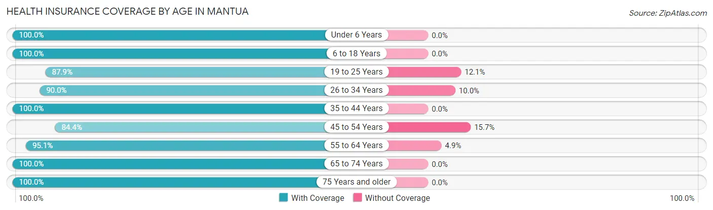 Health Insurance Coverage by Age in Mantua